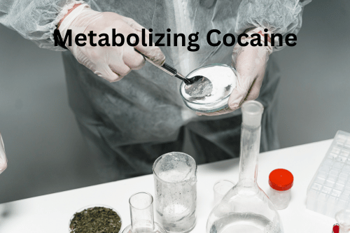 Metabolizing Cocaine