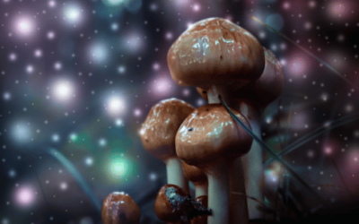 How Long Does a Shroom Trip Last? A Guide to Effects and Duration